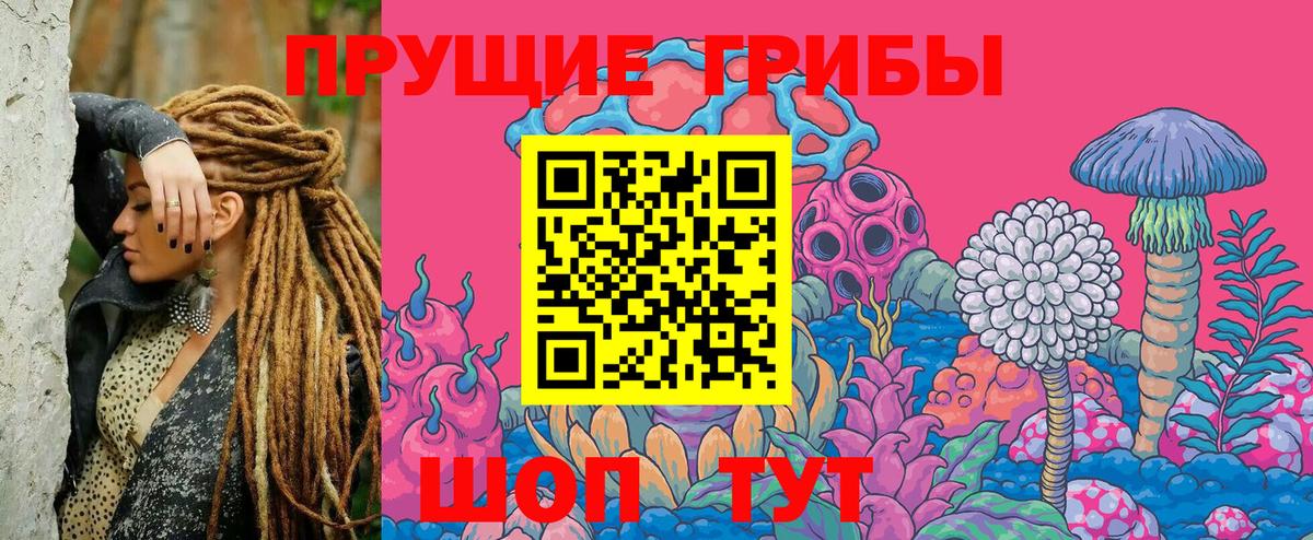 Псилоцибиновые грибы MAGIC MUSHROOMS  Вход с VPN  Фрязино 