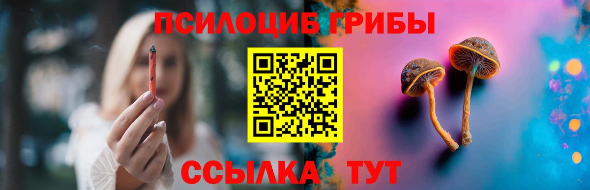 Галлюциногенные грибы мицелий Фрязино